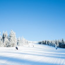 Fantastisk bra f&oslash;re
Kaldt i lufta, nypreppet og m.