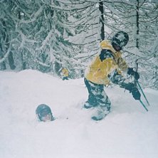 Efter dagar av sn&ouml;ande kr&auml;vdes fart i skogen f&ouml;. Foto: Anders Nilsson. &Aring;kare: Mats Kroona.