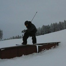 railin with poles. Foto: Anders S&ouml;rlin. &Aring;kare: fernando.
