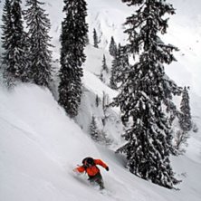 Foto: N&aring;gon av g&ouml;bbarna p&aring; campingen. &Aring;kare: Niklas Ruberg.