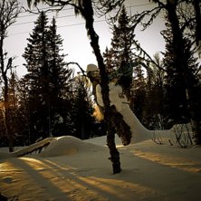 Foto: Frida Norman. &Aring;kare: Viktor Lindqvist.