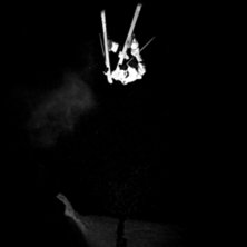 Foto: Andreas Timf&auml;lt / SwedenProPhoto.