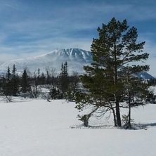 20 cm nysn&oslash; og sol!
.