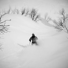 En av &aring;rets sista riktiga puderdagar. Foto: William Flodstr&ouml;m. &Aring;kare: Robert Lindberg.