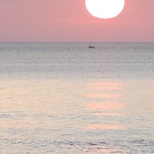 Foto: Johan Berglund. &Aring;kare: Ok&auml;nd.