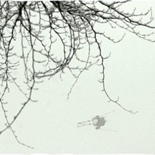 Foto: Tomek Gola. &Aring;kare: Jasiek Krzysztof.