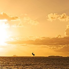 Foto: Jennie Olofsson. &Aring;kare: Christian Ingels.