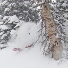 Åkare: Alexander Rutgersson Foto: mats dreng
