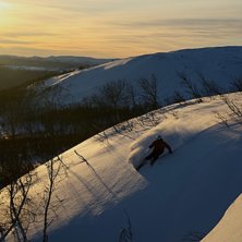 Njuter av lite sol. Foto: Erik Rasmusson. &Aring;kare: Tim Ekfeldt.