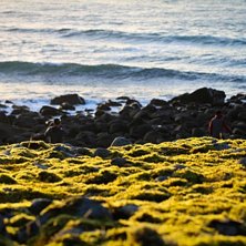 Foto: Christine Hargin.