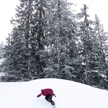 En aning &ouml;verexponerad men ganska trevlig i alla . Foto: Patrik Hammarlund. &Aring;kare: Felix Grunert.