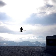 Foto: Oscar Lundqvist. &Aring;kare: Adam Widen.