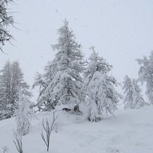 Foto: Pelle Edstr&ouml;m. &Aring;kare: Jakob Edholm.