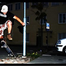 Hitta alla f&aring;glar som g&ouml;mmer sig.. Foto: N/A. &Aring;kare: Anders Gr&auml;nnsj&ouml;.