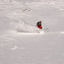 Sk&ouml;n brant.. Foto: Henrik Thunberg. &Aring;kare: Petteri Koste.