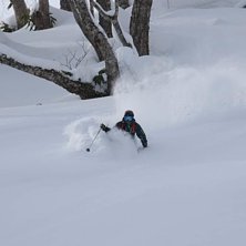 Puder i en bred skogsgl&auml;nta med Per Powder Paradi.