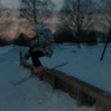 &Aring;kare: wille hagberg.