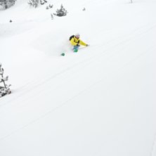 Foto: Daniel &Aring;nskog. &Aring;kare: nils hallgren.