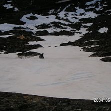 Sorbe &aring;kning i midnattsol. tog en tur ner mot Bj�. Foto: Kevin Bergstr&ouml;m. &Aring;kare: Henning Holmberg.