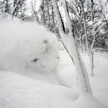 Gummiskogen. Foto: Lisa Wallman. &Aring;kare: Daniel Chapuis.