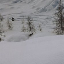 En dag efter ett dump.. Foto: Mange. &Aring;kare: johan.