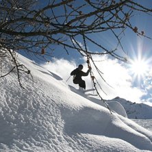 Foto: H&aring;kan Andersson. &Aring;kare: Micke Andersson.