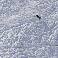 Foto: Johan Hellman. &Aring;kare: En ok&auml;nd &aring;kare pl&ouml;jer igenom v&aring;rsn&ouml;n..