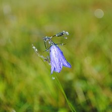 Foto: Linn &Ouml;stlund.