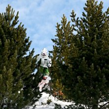 Kul mellan tr&auml;den i Rendel. Foto: Felix Grunert. &Aring;kare: Patrik Hammarlund.