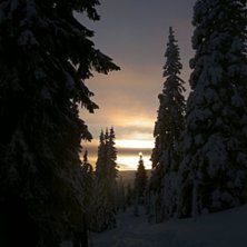 mysigt. Foto: Simon Frisk. &Aring;kare: Hannes Andersson.