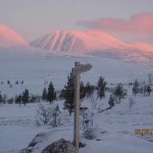 Foto: anders rennermalm. &Aring;kare: rendalss&ouml;len i morgonljus.