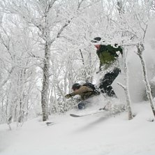 Joel och Linus k&ouml;r genom n&aring;gra granar.. Foto: Peter Karlbom. &Aring;kare: Joel Nystr&ouml;m, Linus Bj&ouml;rk.