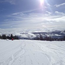 Etter g&aring;rsdagens sn&oslash;fall
Nydelige p&aring;skeforhold..
