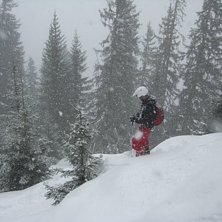 Foto: Tobias &Ouml;str&ouml;m. &Aring;kare: Anton Lif.