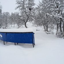 Pudder i lia!
20 cm med champagne pudder p&aring; Hauke.