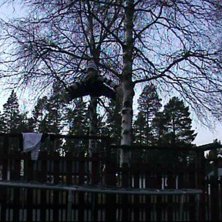 HOPPP. Foto: N&Aring;N. &Aring;kare: JAG.