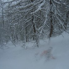 Foto: Nicklas Carlstr&ouml;m. &Aring;kare: Edward.