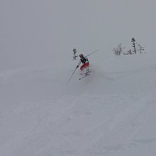 Foto: ville berg-malmborg. &Aring;kare: madelene jonsson.