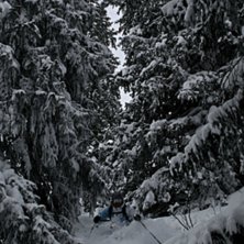 Foto: Felix Grunert. &Aring;kare: Rikard Lindblad.