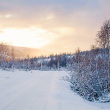 Tr&aelig;rne har pyntet seg i hvitt
Hodlekve og Rindabo.