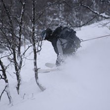 Skogs&aring;kning. Foto: Emma Bylund. &Aring;kare: Christer Larsson.