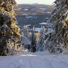 Skogs&aring;kning dagen innan ny&aring;r i Fun&auml;sberget. Fin. Foto: Henrik.