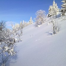 Foto: Mountain Man.