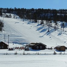 Finv&aelig;ret holder seg
.