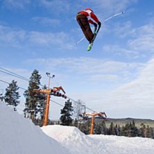 Foto: Andreas Timf&auml;lt / SwedenProPhoto.