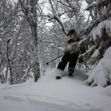Foto: Janne Holmgren. &Aring;kare: Erik Holmgren.