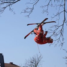 landa tyv&auml;rr med &amp;quot;tailpress-to-asgrind o. Foto: meistro. &Aring;kare: Sv&auml;var mellan grenarna p&aring; CBJO.