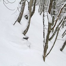 Foto: Andreas Bengtsson. &Aring;kare: Staffan Syk.