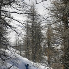 Foto: olle big daddy. &Aring;kare: lars-&aring;ke krantz.