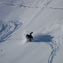 Foto: Tomas Pernek. &Aring;kare: Henrik Finck.